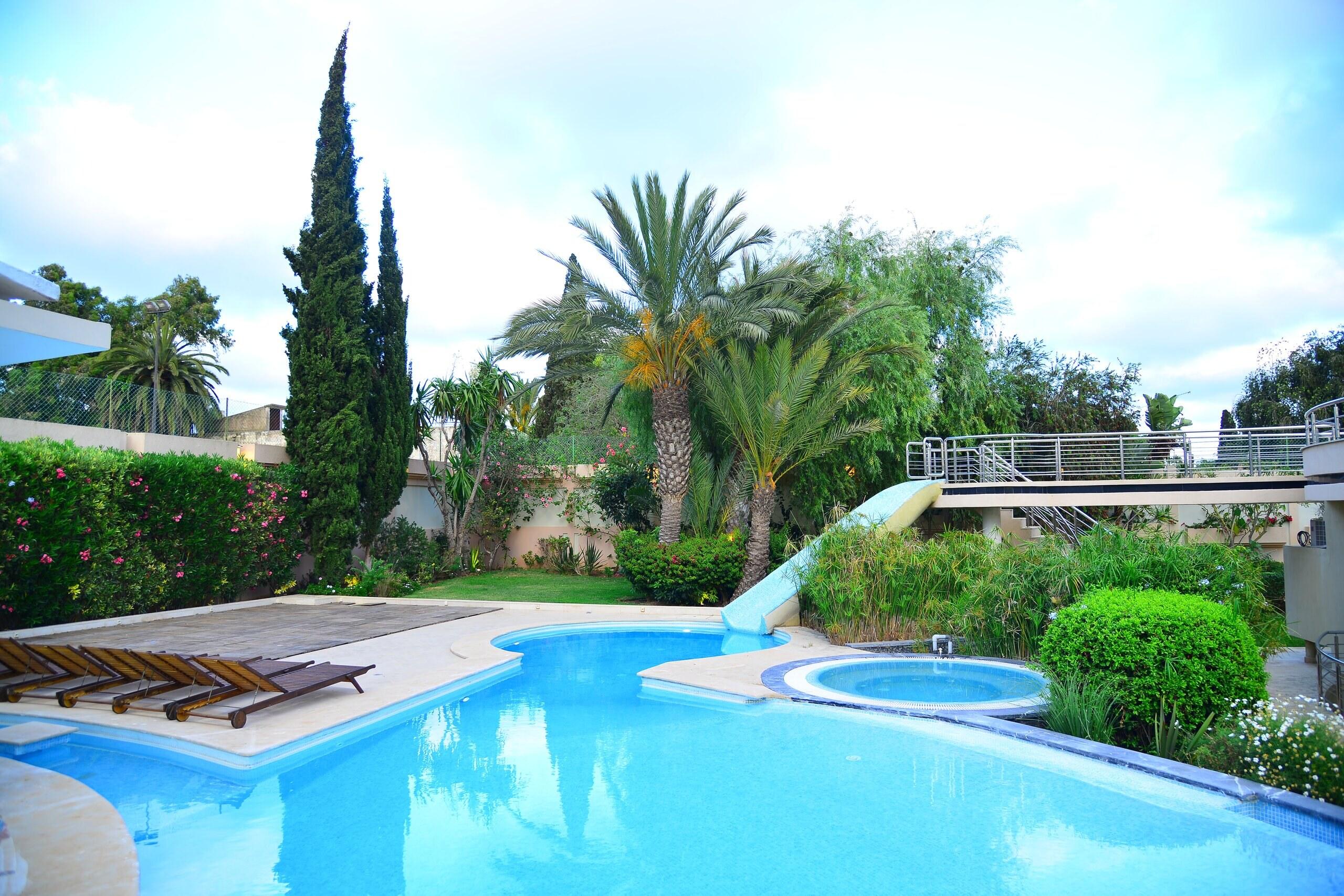 Cypresses, palms and the pool with its jacuzzi at dusk